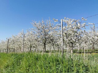 Vakantiepark Maastricht Omgeving 17