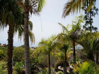 Holiday park Tajuya Outdoor Recording 20