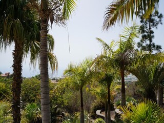 Holiday park Tajuya Outdoor Recording 5