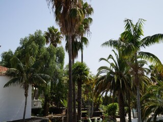 Ferienpark Tajuya Außenaufnahme 23
