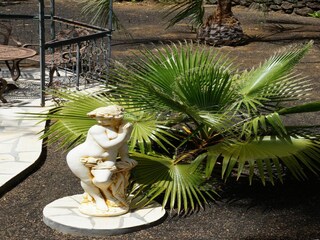 Ferienpark Tajuya Außenaufnahme 12