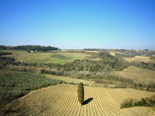 Holiday park San Casciano Environment 38
