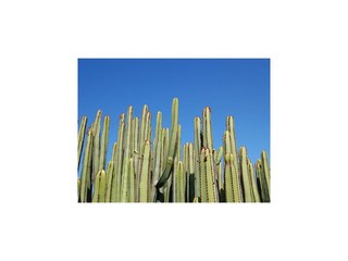 Parque de vacaciones Arguineguin Entorno 42