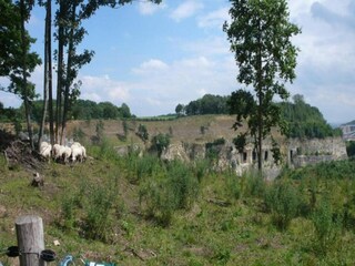 Parque de vacaciones Maastricht Entorno 15