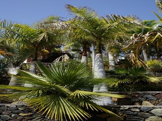 Holiday park Tajuya Outdoor Recording 15
