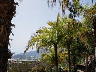 Parque de vacaciones Tajuya Grabación al aire libre 17