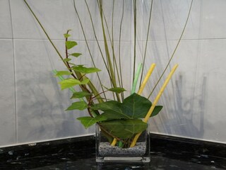 Parco vacanze Tajuya Caratteristiche 32