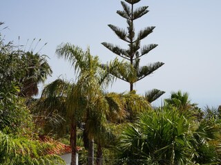 Parque de vacaciones Tajuya Grabación al aire libre 5