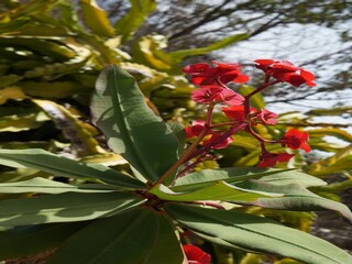 Parco vacanze Tajuya Registrazione all'aperto 9