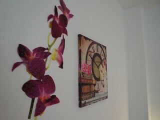 Parco vacanze Tajuya Caratteristiche 28