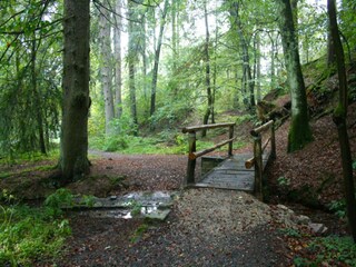 Holiday park Bad Sachsa Environment 22