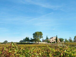 Vakantiepark Subirats Omgeving 22