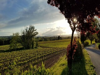 Parc de vacances Subirats Enregistrement extérieur 5