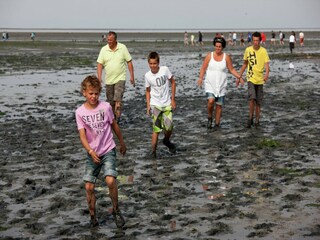 Vakantiepark Den Burg Omgeving 13
