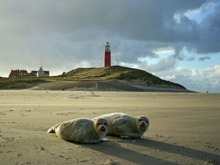 Vakantiepark Den Burg Omgeving 14