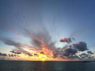 Ferienpark Den Burg Umgebung 36