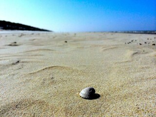 Parco vacanze Den Burg Ambiente 36