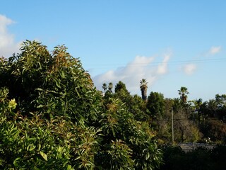 Parque de vacaciones Tajuya Grabación al aire libre 16