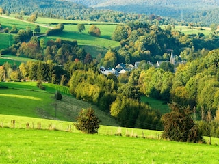Maison de vacances Bertogne Environnement 28