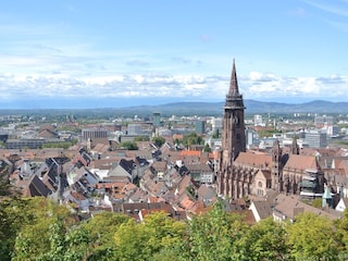 Apartamento de vacaciones Bad Bellingen Entorno 20