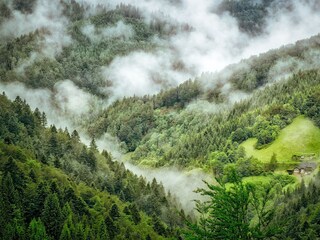 southern Black Forest