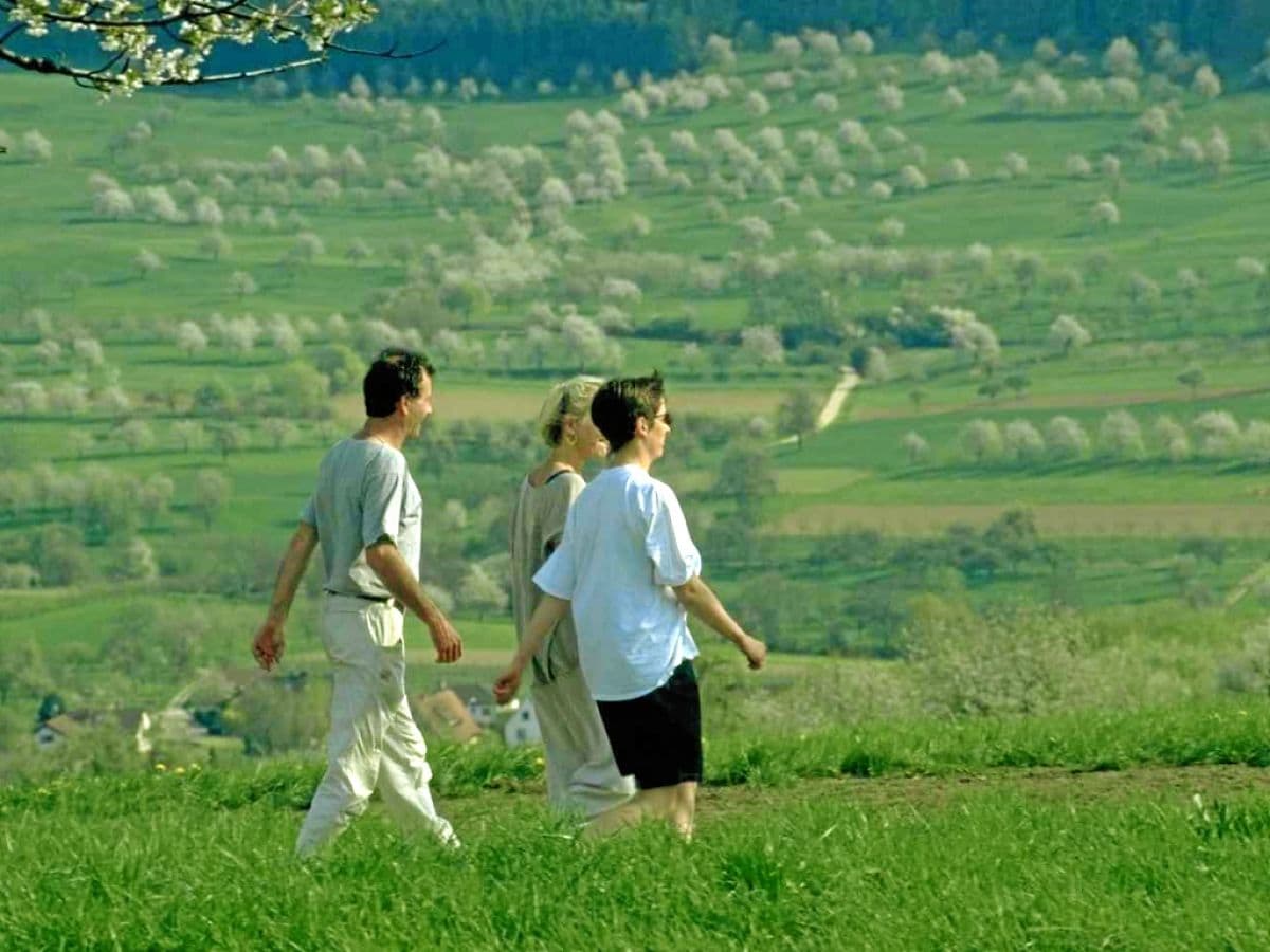 Wandern im Markgräflerland