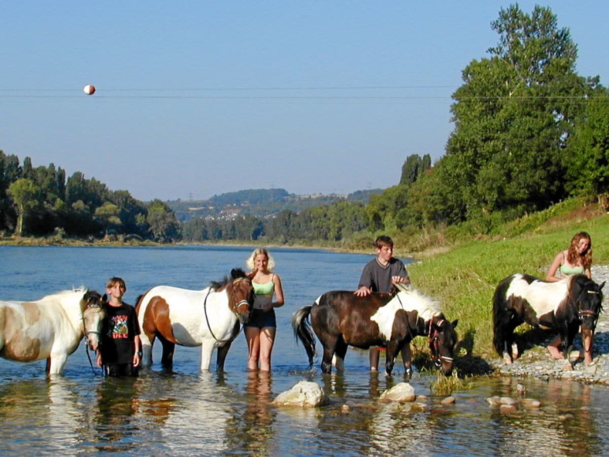 Ponyreiten