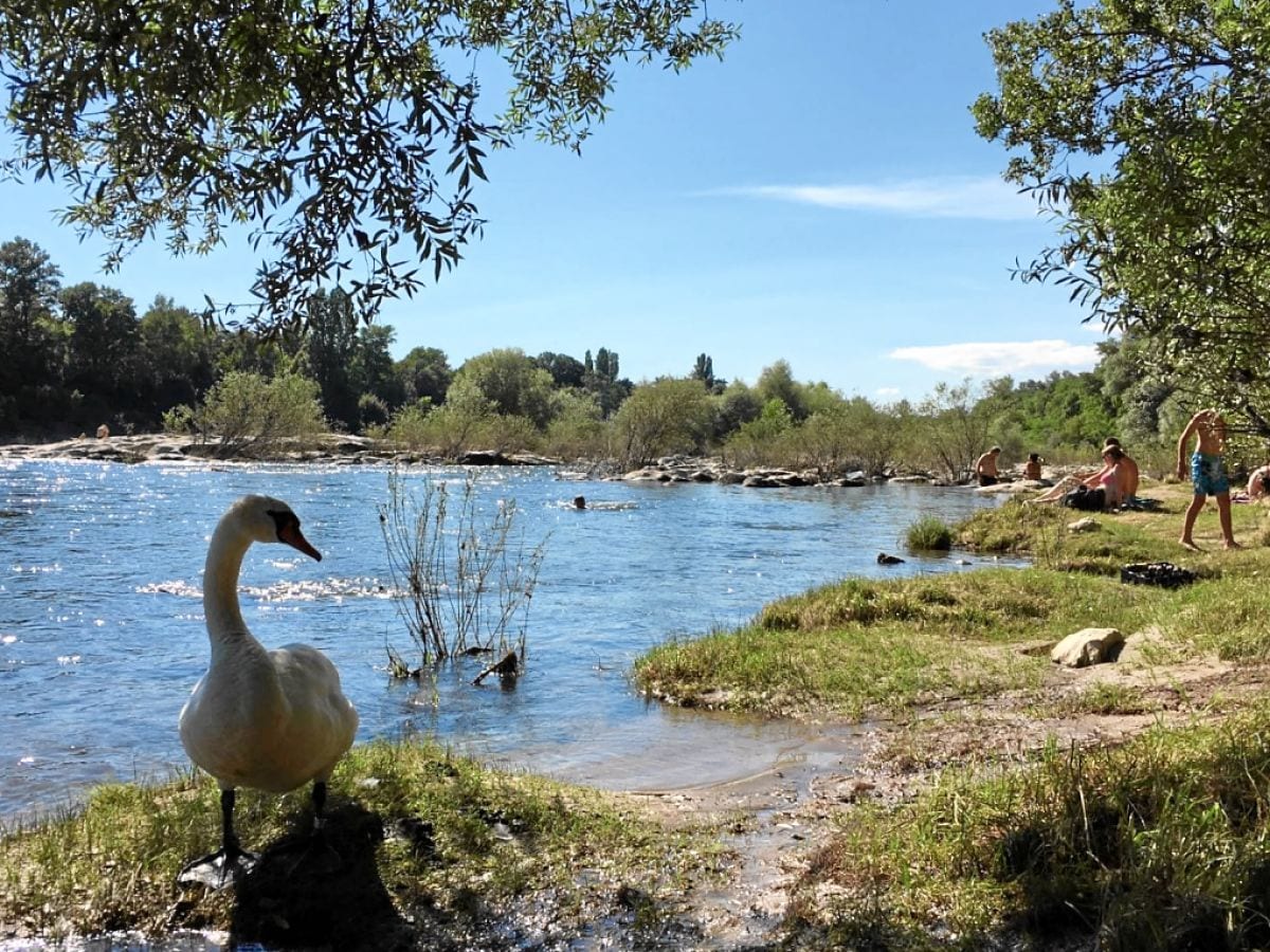 Am Rhein bei den Isteiner Schwellen