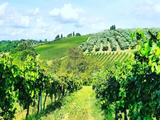 Vakantiepark San Casciano Omgeving 27
