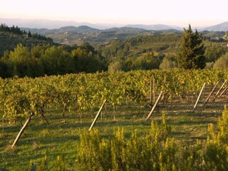Vakantiepark San Casciano Omgeving 32
