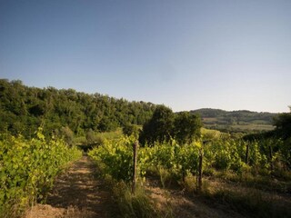 Holiday park San Casciano Environment 38