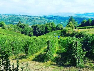 Parc de vacances San Casciano Environnement 33