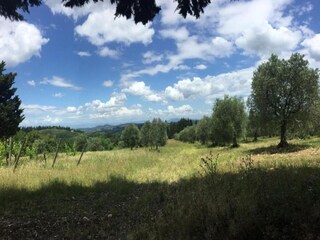 Holiday park San Casciano Environment 32