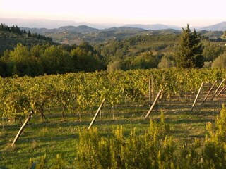 Parco vacanze San Casciano Ambiente 36