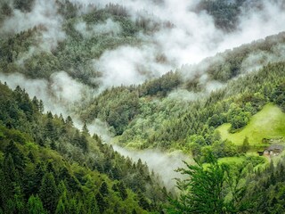 Appartement Bad Bellingen Omgeving 24