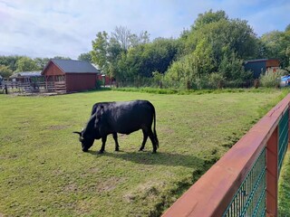 Appartement St. Peter-Ording Environnement 18