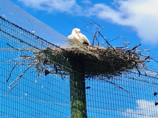 Appartement St. Peter-Ording Omgeving 18