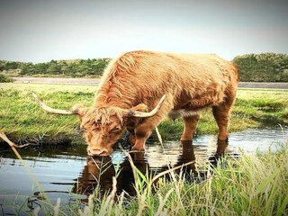 Appartamento St. Peter-Ording Ambiente 41