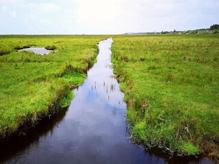 Appartement St. Peter-Ording Environnement 35