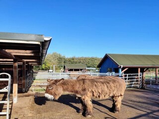 Appartamento St. Peter-Ording Ambiente 48