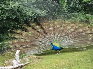 Apartment St. Peter-Ording Environment 50
