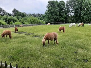 Appartamento St. Peter-Ording Ambiente 52
