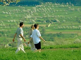 Hiking in the Markgräflerland