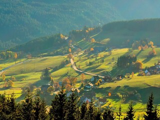 Black Forest
