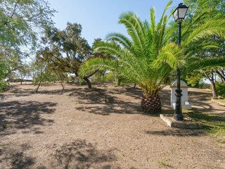 Parque de vacaciones Herrera de Alcántara Grabación al aire libre 5