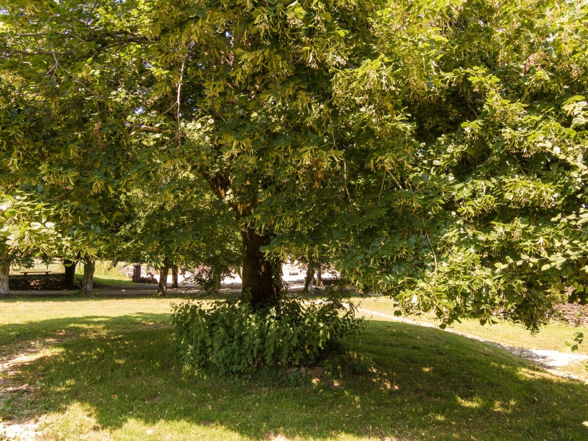 Ferienpark La Coquille Außenaufnahme 9