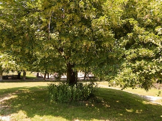 Ferienpark La Coquille Außenaufnahme 9