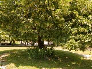 Parc de vacances La Coquille Enregistrement extérieur 3