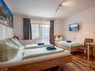 Vakantieappartement Zell am Ziller Kenmerken 9