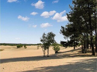 Vakantiepark Udenhout Omgeving 12